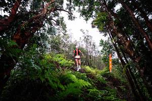 BIB: 
                            <button type="button" onclick="openModal(26204946)" class="btn btn-primary btn-sm float-right btn-popup" data-toggle="modal" data-target=".modal-high-quality">
                        <i class="fas fa-shopping-cart"></i> Add to Cart
                    </button>
                                            <button type="button" onclick="isThisMe(26204946, true)" class="btn btn-success btn-sm float-right btn-popup btn-isme hidden" data-toggle="tooltip" data-placement="bottom" title="นี่คือรูปของคุณใช่ไหม คลิกที่นี่เพื่อเอาเข้าอัลบั้ม">
                        <i class="fas fa-plus"></i> Add to album
                    </button>
                    <button type="button" onclick="isThisMe(26204946, false)" class="btn btn-warning btn-sm float-right btn-popup btn-isnotme hidden">
                        <i class="fas fa-ban"></i> Remove from album
                    </button>